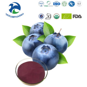 Blueberry Extract